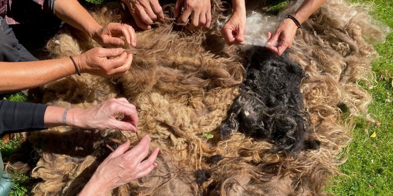 Foto: Victoria Torboli